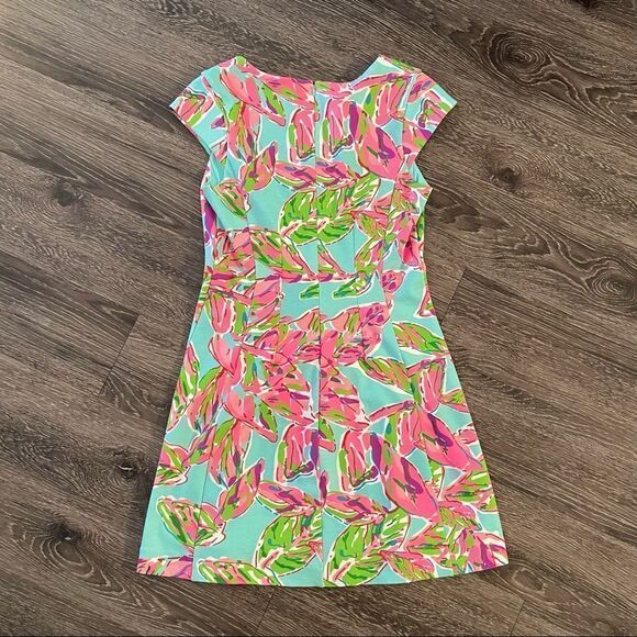 Lilly Pullitzer dress - Picture 10 of 11